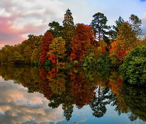 Drzewa, Chmury, Jezioro