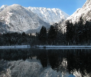 Las, Jezioro, Góry, Śnieg