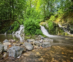 Wodospady, Kamienie, Leśne