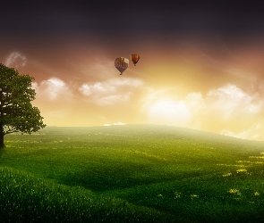 Słońce, Balony, Łąka