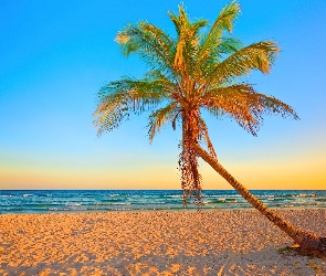 Palma, Plaża, Morze