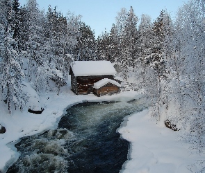 Rzeka, Zima, Dom, Las