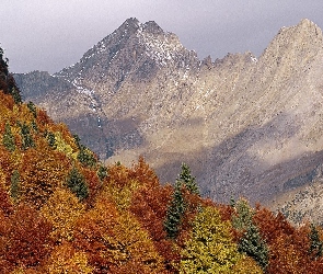 Góry, Jesień, Lasy
