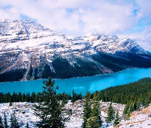 Góry, Prowincja Alberta, Śnieg, Kanada, Park Narodowy Banff, Drzewa, Jezioro, Peyto Lake, Opadająca