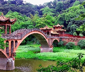 Japoński, Most, Ogród