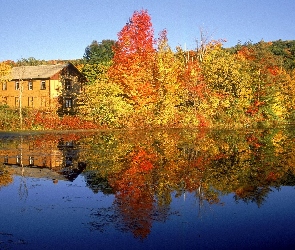 Jesień, Kolorowe, Dom, Drzewa, Jezioro