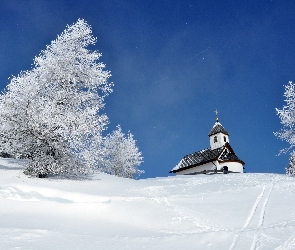 Kościółek, Zima, Drzewa