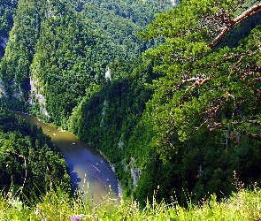 Pieniny, Spływ, Dunajec, Rzeka