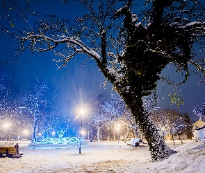 Zima, Latarnie, Drzewa, Fontanna, Park