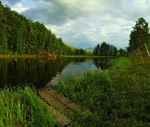 Rzeka, Trawy, Krzewy, Pomost, Las