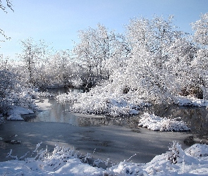 Rzeka, Zima, Drzewa, Ośnieżone
