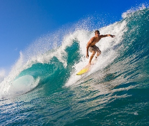 Fale, Ocean, Surfing
