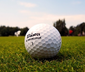 Golfowa, Wilson, Piłka
