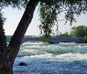 Rzeka, Drzewa, Most