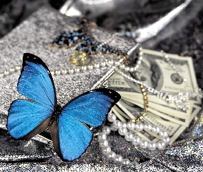 Niebieski, Pieniądze, Perły, Motylek