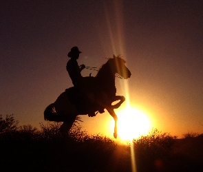 zachód, słońce, Koń, jeździec