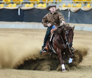 Rodeo, Koń, Kowboj