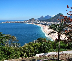 Plaża, Rio De Janeiro, Drzewa, Morze