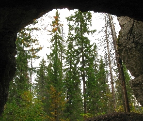 Jaskinia, Skały, Drzewa