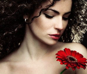 Brunetka, Gerbera