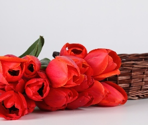 Kosz, Wiklinowy, Czerwone, Tulipany