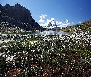 Jeziorko, Szwajcaria, Matterhorn, Góry, Łąka