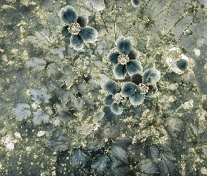 Kwiaty, Fractalius