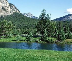 Woda, Łąka, Park Narodowy Banff, Kanada, Góry, Las