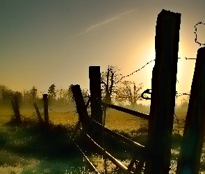 Słońca, Promienie, Łąka, Drzewa, Mgła, Płot