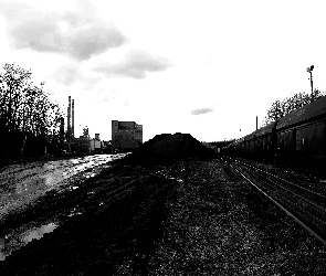 Kopalnia KWK Rydułtowy, Przemysł