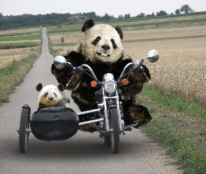 Na, Motocyklu, Pandy