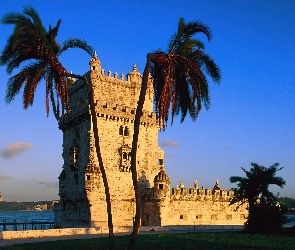 Wieża, Woda, Palmy, Portugalia