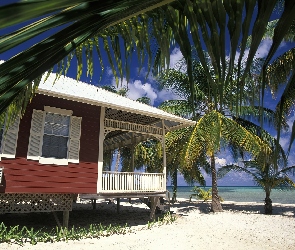 Domek, Palmy, Wakacyjny