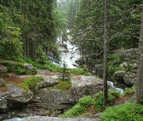 Słowacja, Potok Studencki, Tatry