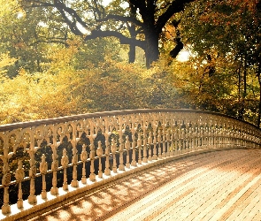 Park, Drzewa, Most