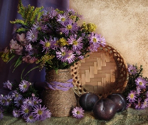Kwiatuszki, Śliwki, Liliowe