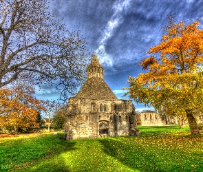 Trawa, Budowle, Liście, Zabytkowe, Drzewa