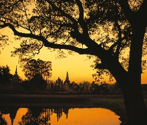 Jezioro, Drzewo, Kambodża, Budowle