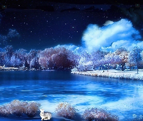 Jezioro, Noc, Zima, Drzewa