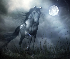 Noc, Galop, Koń, Księżyc