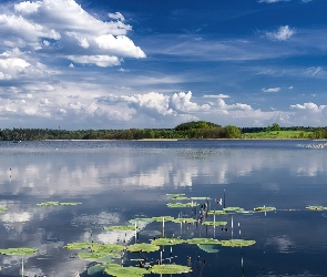 Las, Chmury, Jezioro