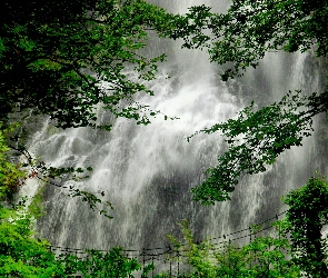 Wodospad, Most, Wiszący, Drzewa
