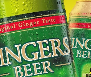 Gingers Beer, Piwo