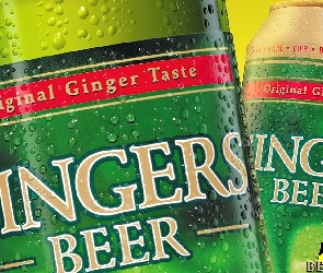 Piwo, Gingers Beer