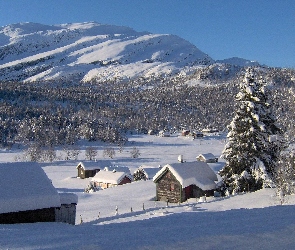Las, Góry, Zima, Domki