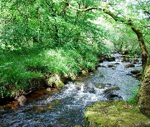 Park, Kamienie, Rzeka
