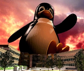 Pingwin, Linux, Budynek