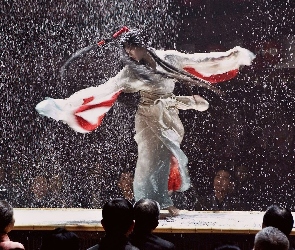 Film, Wyznania Gejszy