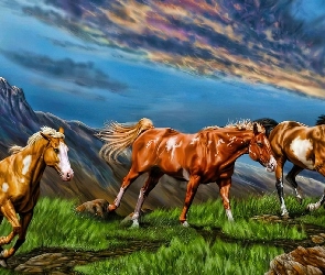 Konie, Łąka, Góry