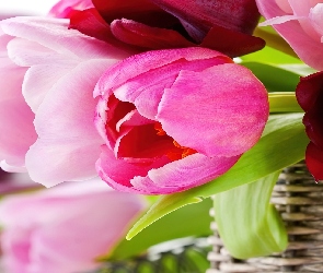 Różowe, Koszyk, Tulipany